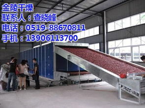 干燥機在化工設備制造中的應用 以金陵干燥海鮮精干燥機為例
